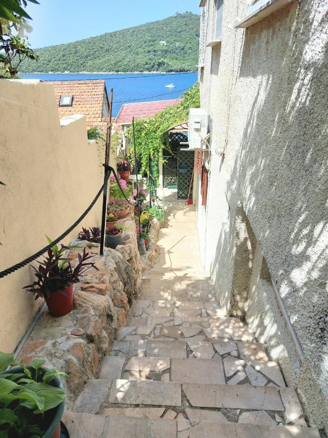 Villa Riva モルナット エクステリア 写真