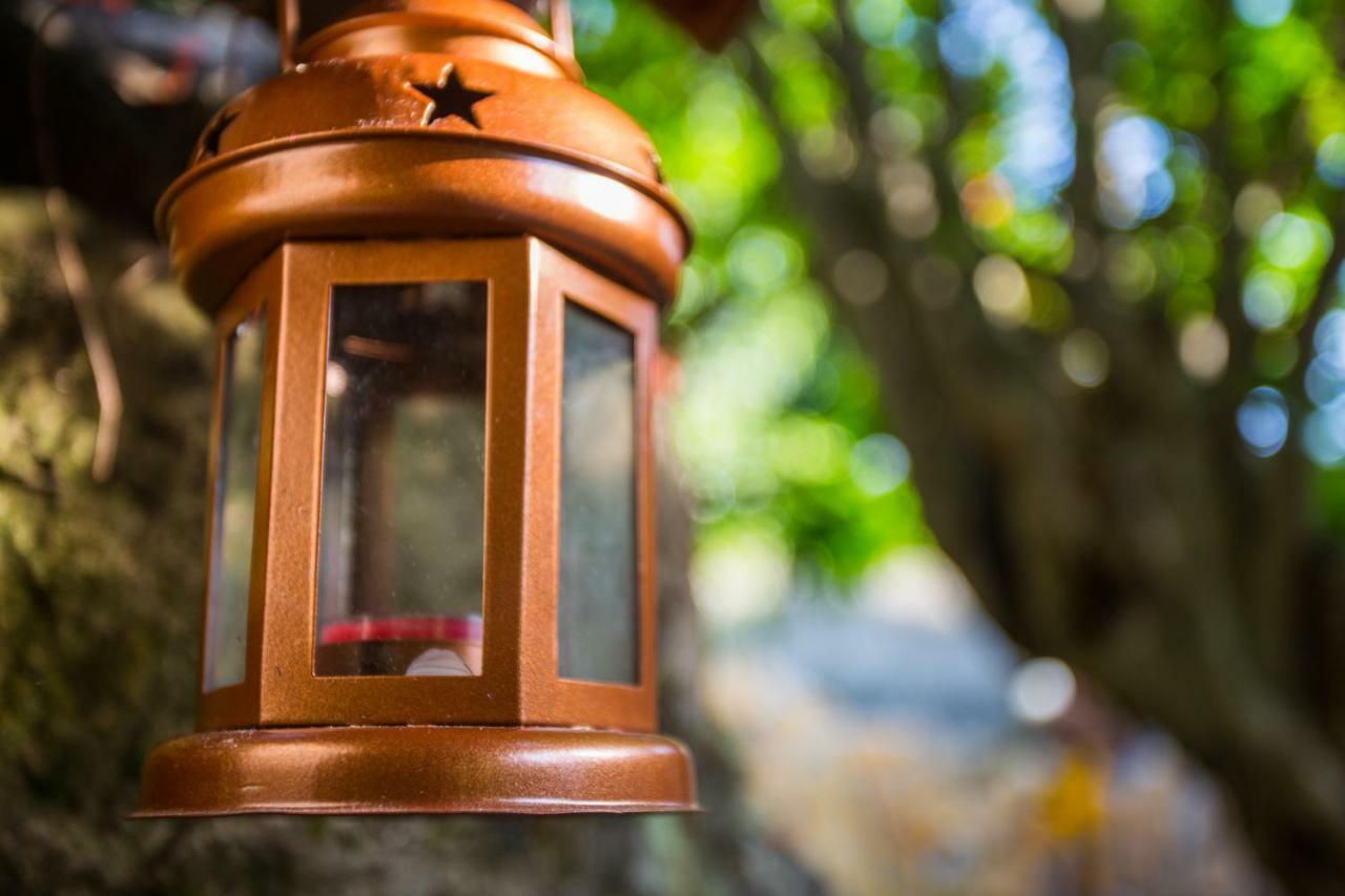 Villa Riva モルナット エクステリア 写真