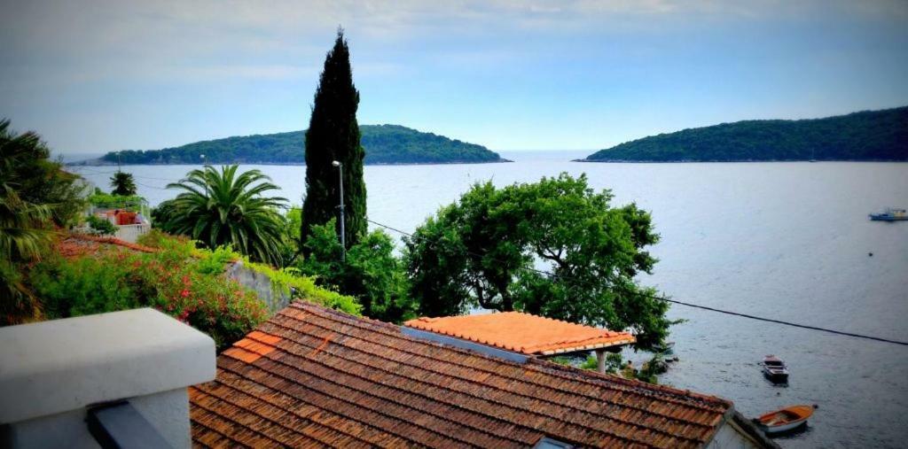 Villa Riva モルナット エクステリア 写真